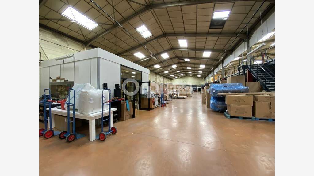 Bâtiment d'activité 3977m² à Rillieux-la-Pape