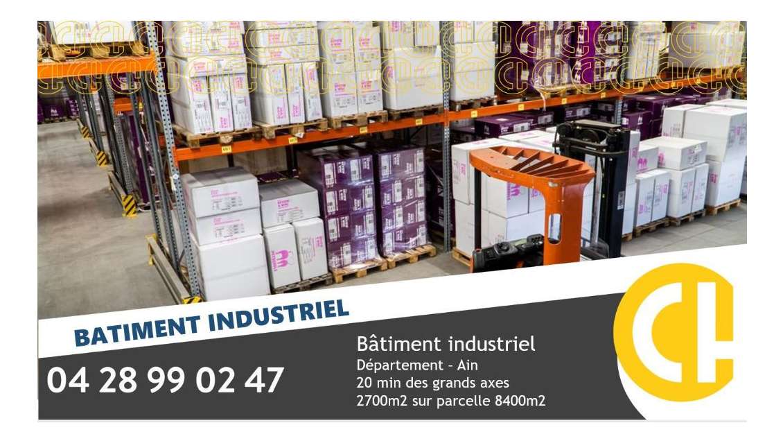 Vente local indus 2670m² à Saint-Denis-lès-Bourg