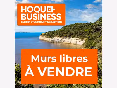 Vente de murs commerciaux et artisanaux, Île 
