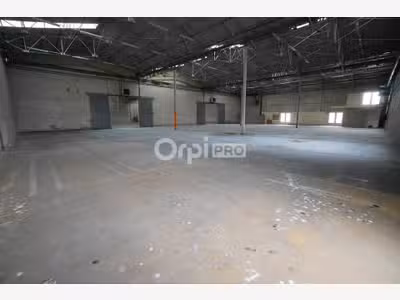 Vente ensemble immobilier de 9900m² à Selongey