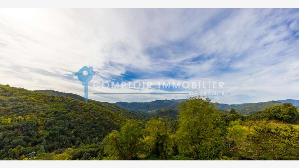 Mur commerciaux panoramique Cévennes Méridionnale