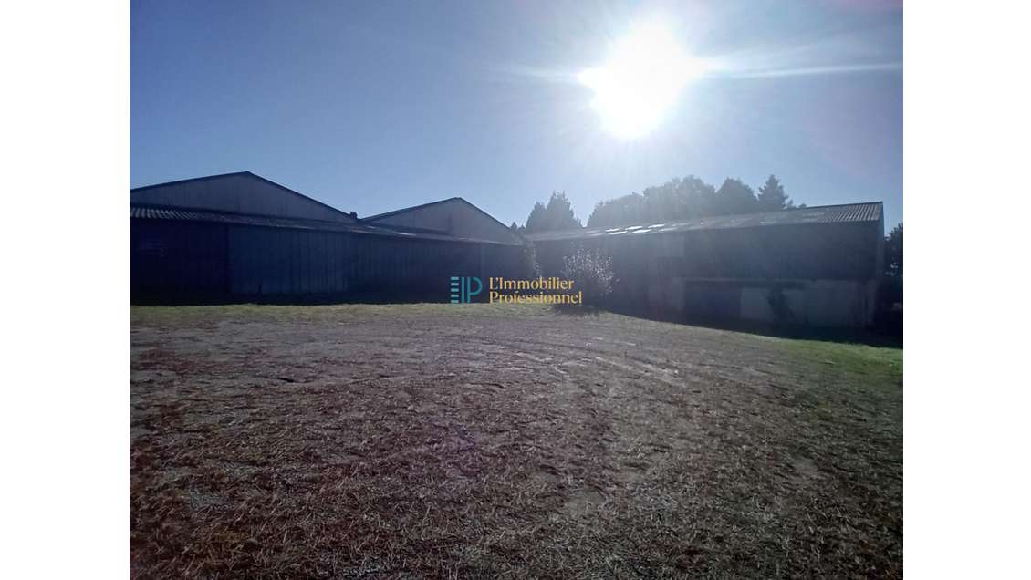Vente local d'activité 3030m² sur 9852m² à Quimper