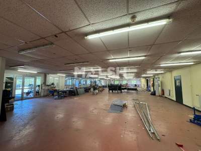 A vendre local industriel et bureaux Saint-Galmier