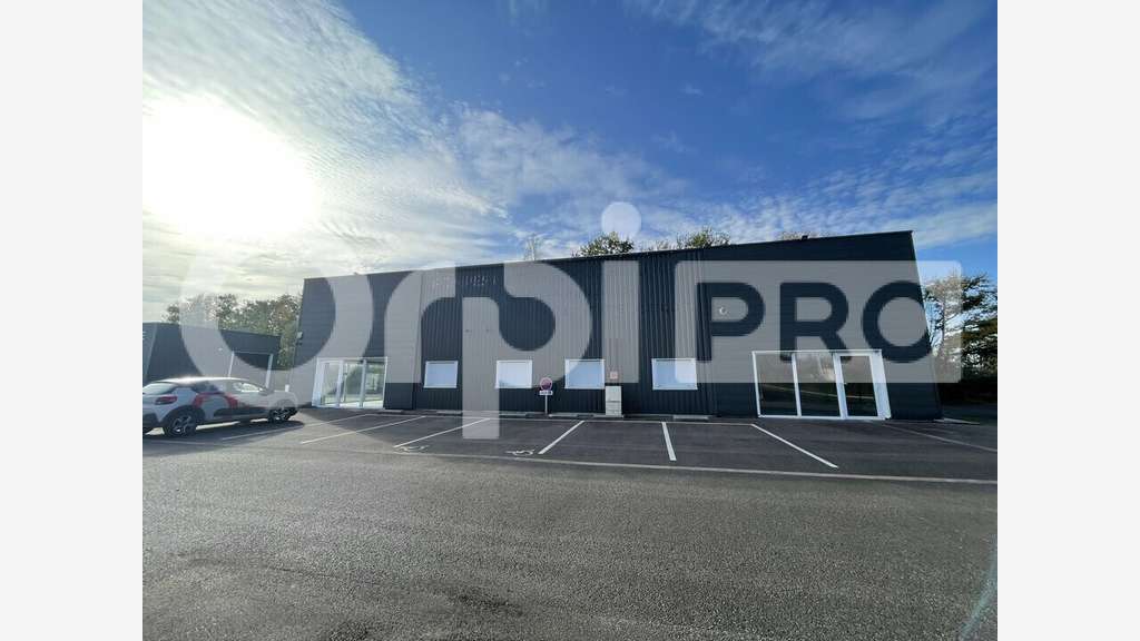 Vente local d'activité spacieux 420m² à Viriat