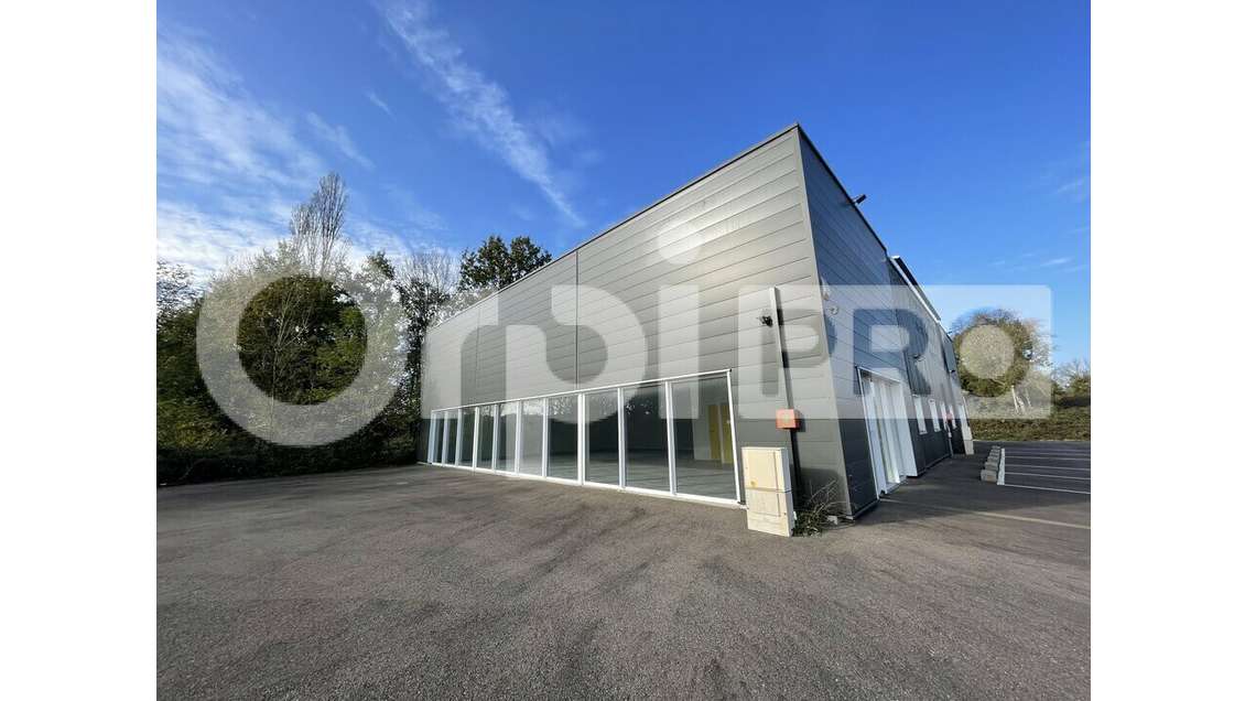 Vente local d'activité spacieux 420m² à Viriat