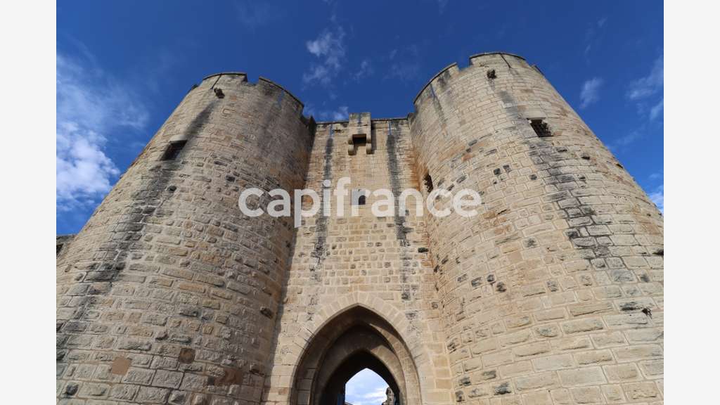 GARD (30) AIGUES-MORTES (30200) À Vendre Murs 