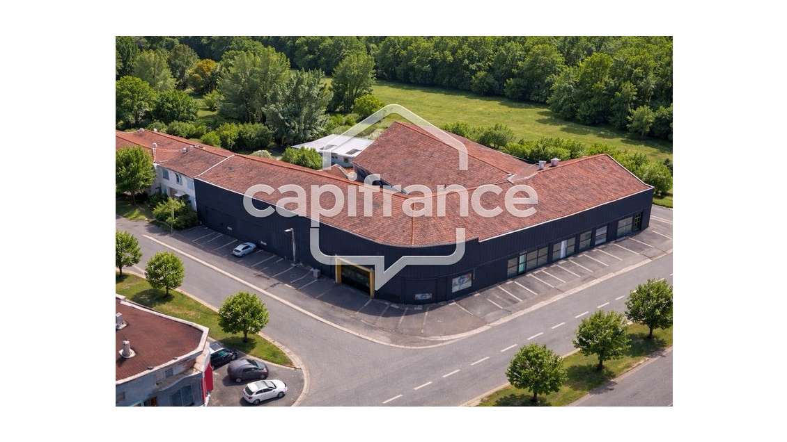 Murs commerciaux et activité à vendre à Albi