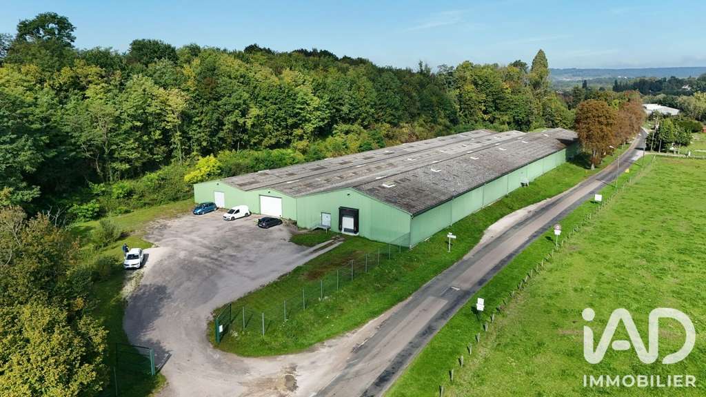 Av bâtiment industriel 7000m² Bourbonne-les-Bains