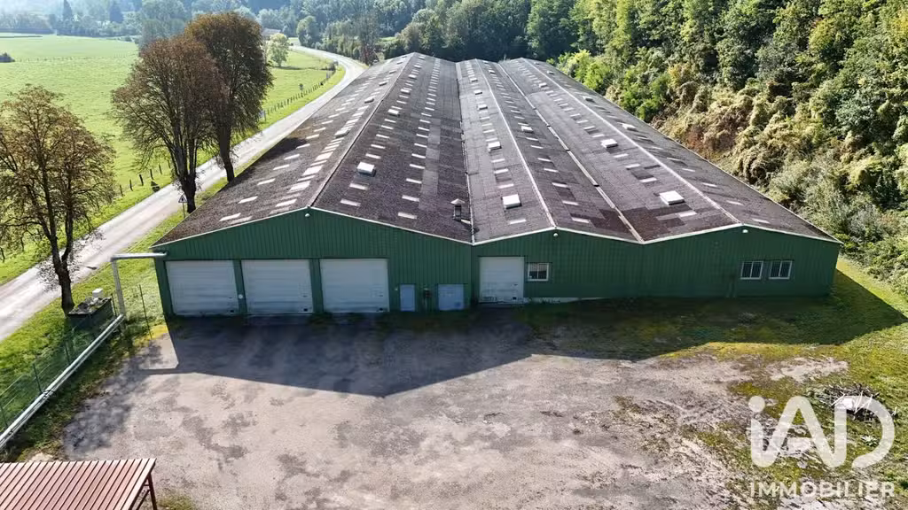 Av bâtiment industriel 7000m² Bourbonne-les-Bains