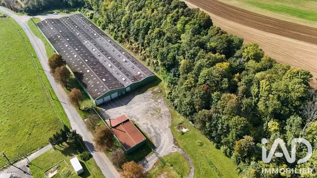 Av bâtiment industriel 7000m² Bourbonne-les-Bains