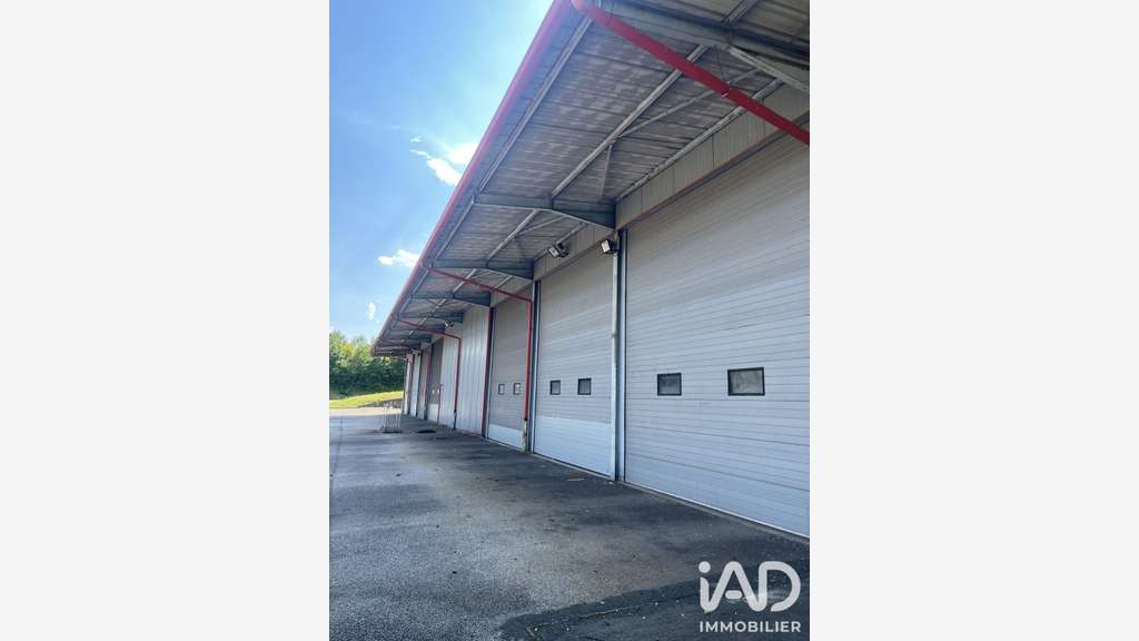 Vente complexe pro 220m² proche de Bourg-en-Bresse