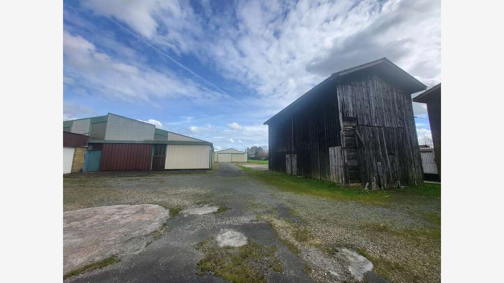 Vente entrepôt commercial 4000m² Castets-en-Dorthe