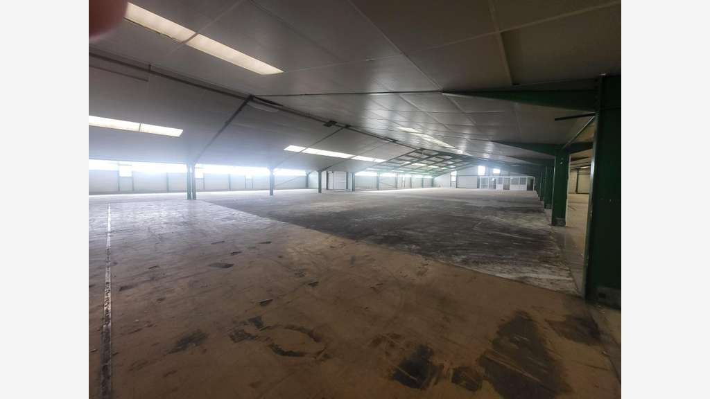 Vente entrepôt commercial 4000m² Castets-en-Dorthe