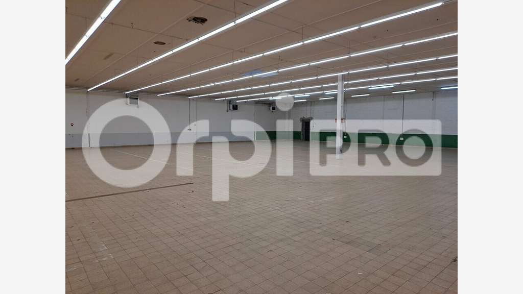 Vente 4 cellules pour 4800m² à Châlon en Champagne
