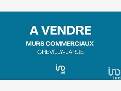 Murs commerciaux à Chevilly-Larue