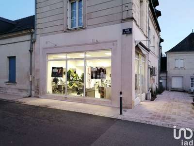 Vente Locaux commerciaux - Boutiques à Chouzé-sur-Loire