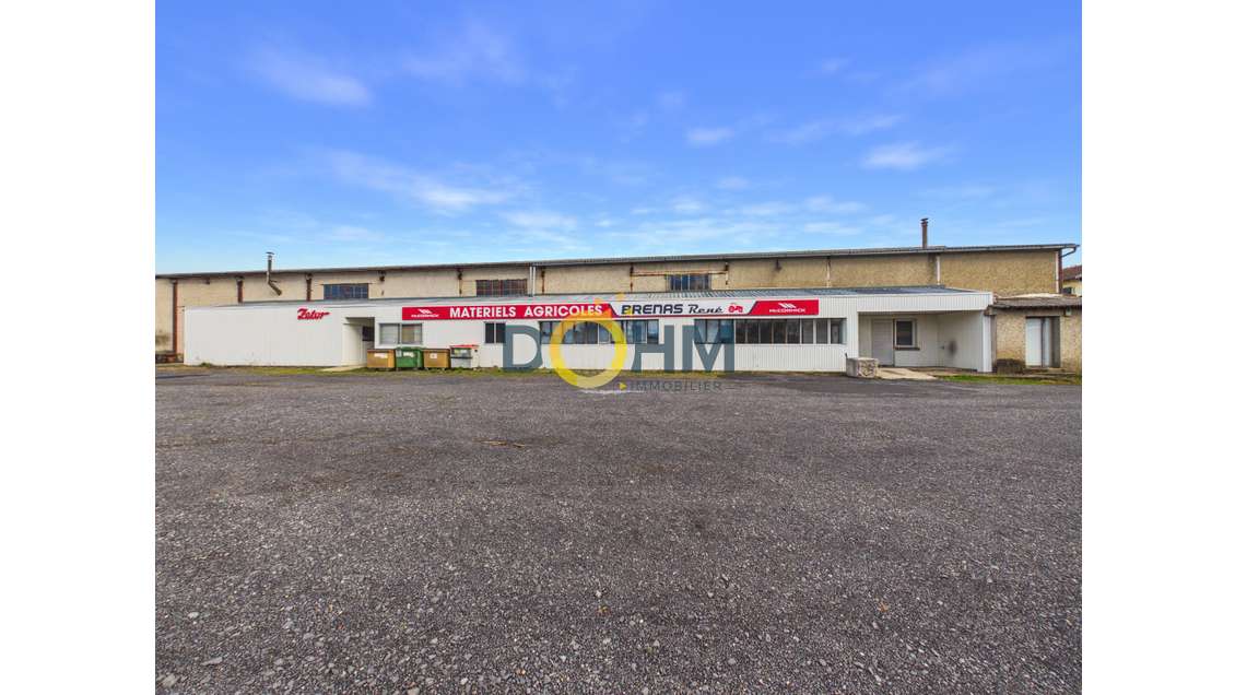 LOCAL INDUSTRIEL 1670M2, CARPORT 300M2 SUR TERRAIN