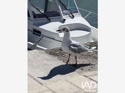 Vente DAB local commercial de 44m² à La Flotte