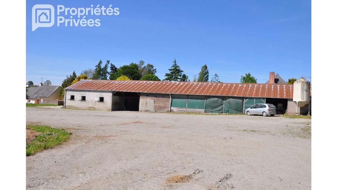 MAYENNE - CENTRE EQUESTRE 7 HECTARES, HANGAR,