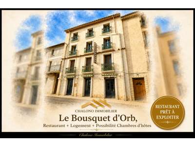 Vente Locaux commerciaux - Boutiques au Bousquet-d'Orb