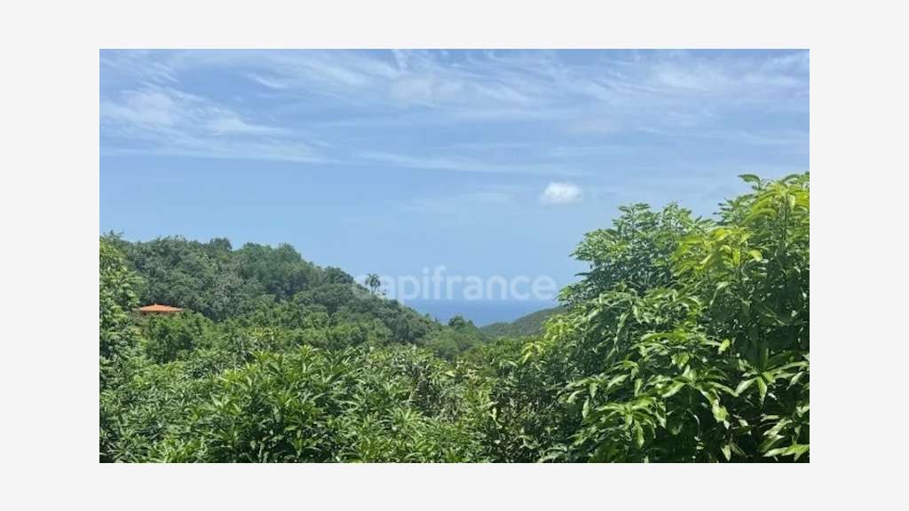 Droit au bail restaurant sur les hauteurs du Marin