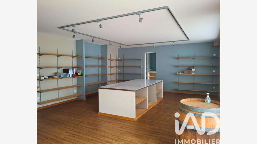 Vente immeuble mixte à Les Aix-d'Angillon