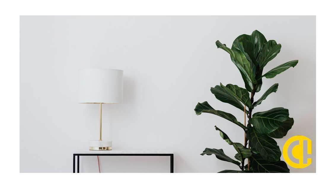 Murs commerciaux pour activité sans nuisance Lyon