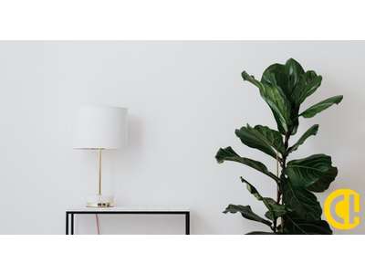 Vente Locaux commerciaux - Boutiques à Caluire-et-Cuire