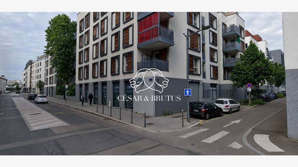 Immobilier Professionnel à vendre Lyon