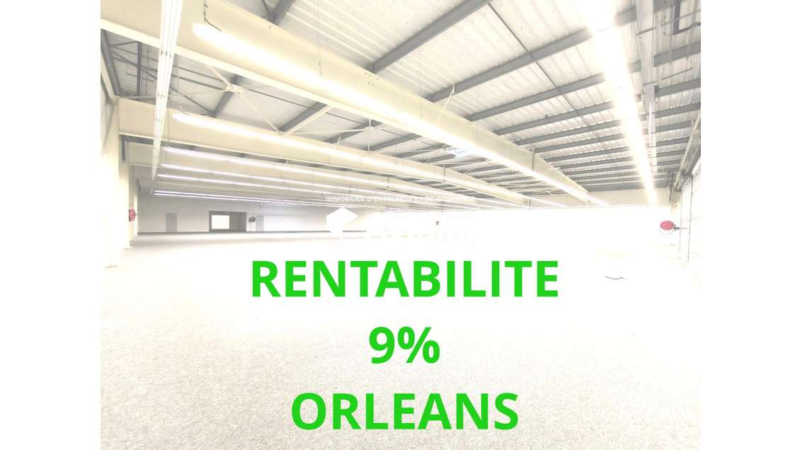 OPERATION INVESTISSEUR 9% ORLEANS