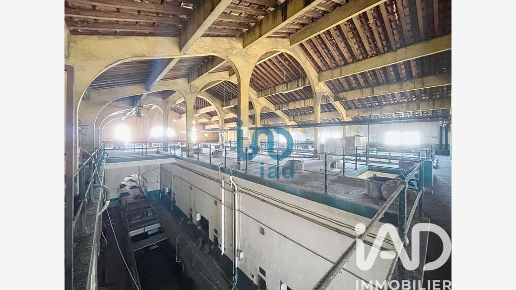 Vente ancienne cave coopérative à Pouzolles