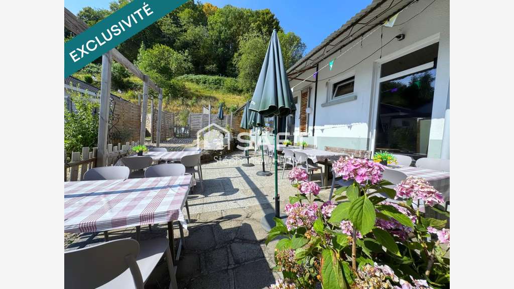 Vente ensemble immobilier de 501m² à Saint Cernin