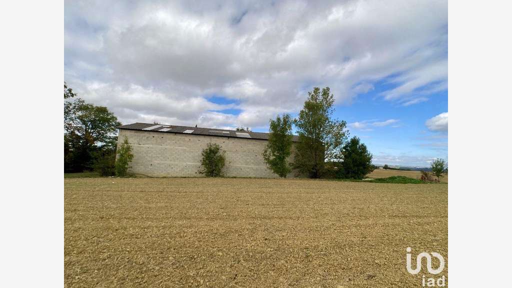 Local commercial à Saint-Félix-Lauragais