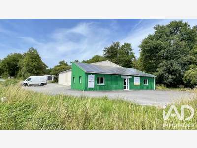 Vente local d'activités 323m² Saint-Jean-Brévelay