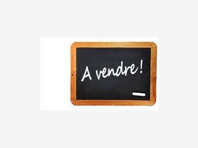 Vente murs commerciaux bar périphérie Nantaise
