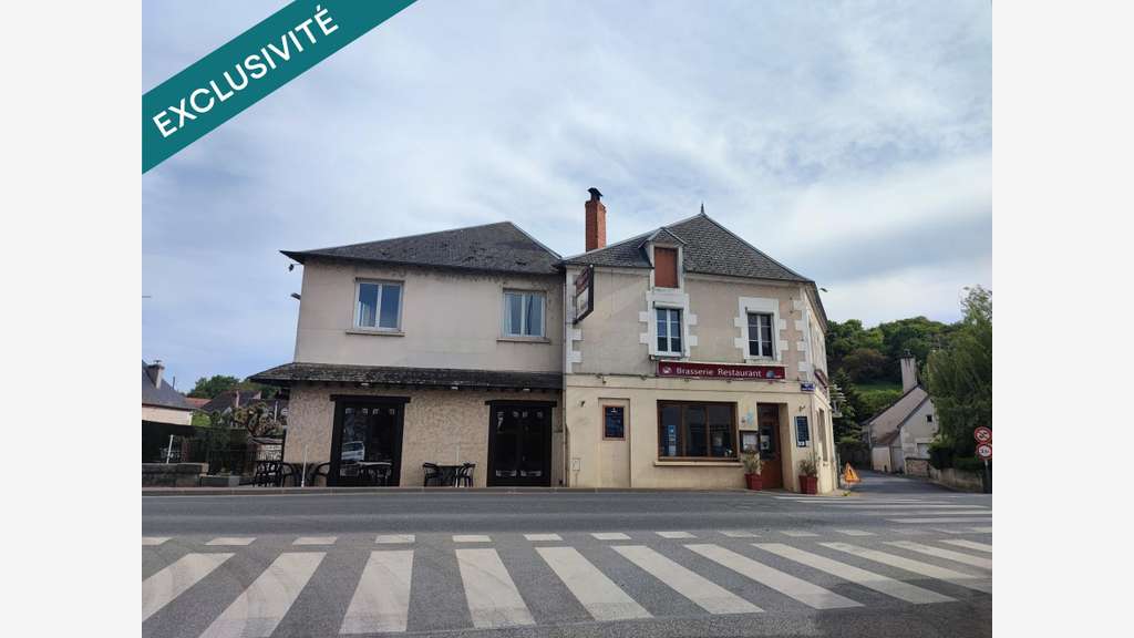 Vente murs commerce occupé + appart 380m² St Satur