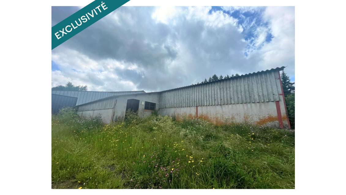 Vente bâtiment agricole 593m² à Saulzet-le-Froid