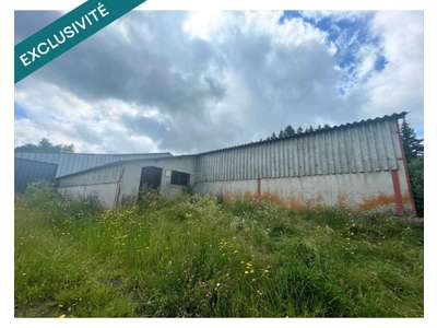 Vente Locaux d'activités - Entrepôts à Saulzet-le-Froid