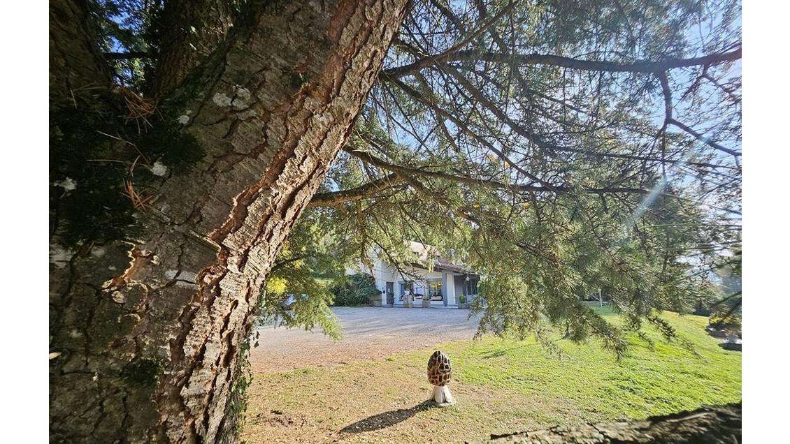 AV murs restaurant gastronomique 400m² à Virignin