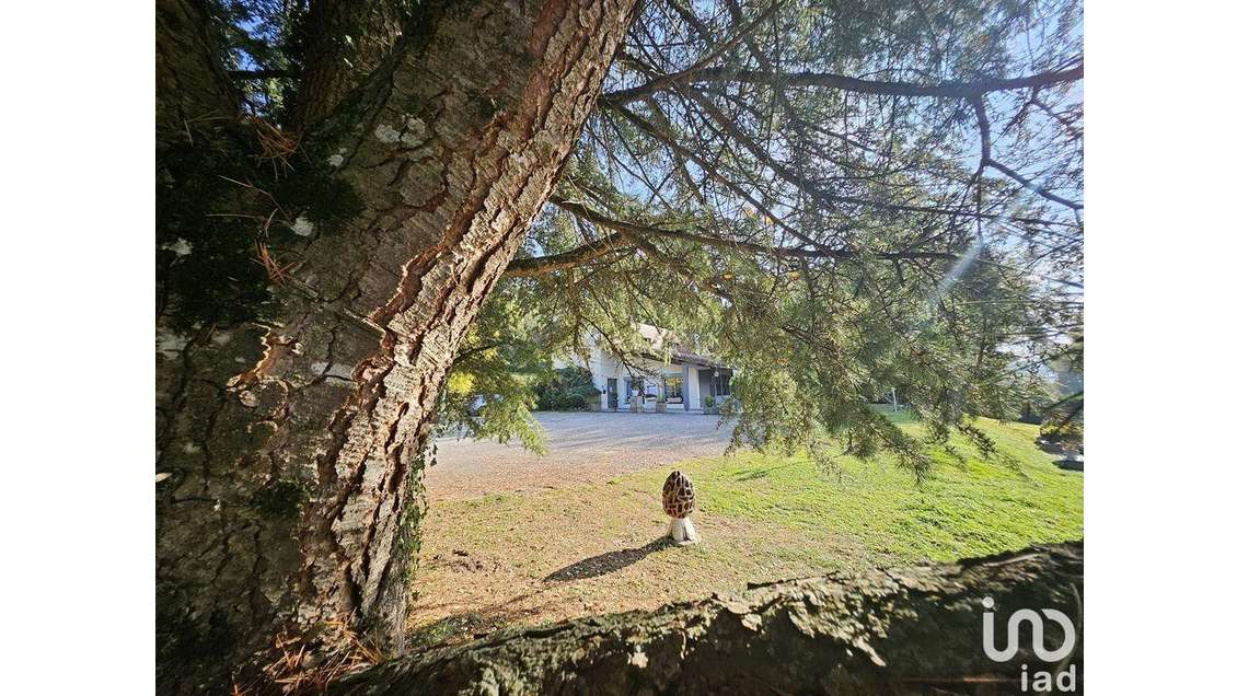 Murs commerciaux à Virignin