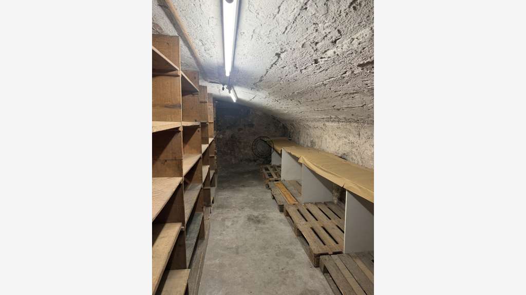 Vente murs libres 37m² à Grenoble Rue des Clercs