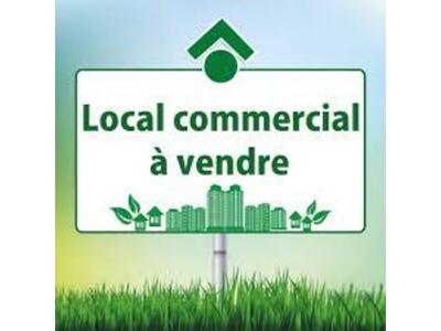 Vente Locaux commerciaux - Boutiques à Mareuil-sur-Lay-Dissais