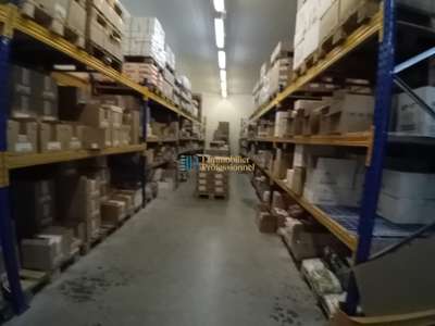 Vente Locaux d'activités - Entrepôts à Rosporden