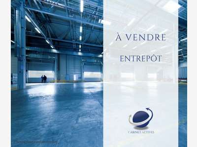 LOCAL PROFESSIONNEL / ENTREPÔT (38)