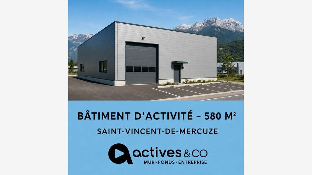 LOCAL PROFESSIONNEL / ENTREPÔT (38)