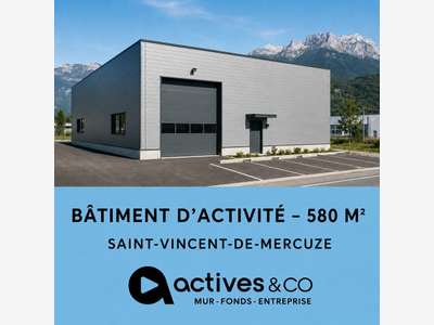 LOCAL PROFESSIONNEL / ENTREPÔT (38)