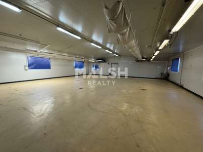 Vente Locaux d'activités - Entrepôts au Chambon-Feugerolles