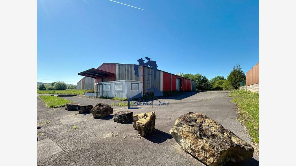 Vente bâtiment industriel 2400m² sur 1ha ZI Mouzon