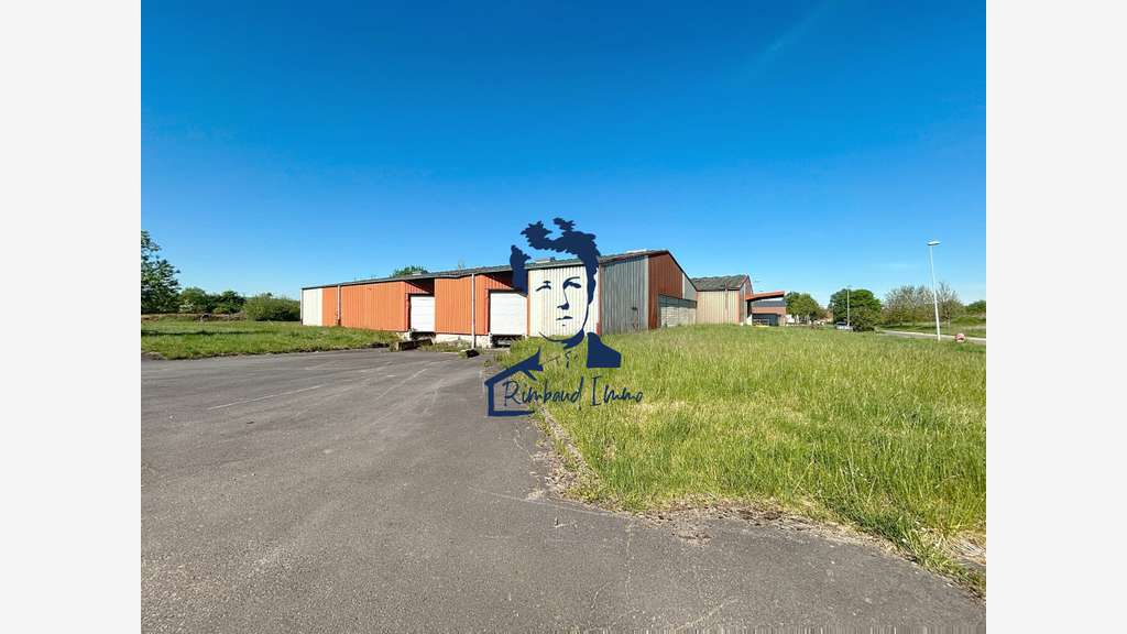 Vente bâtiment industriel 2400m² sur 1ha ZI Mouzon