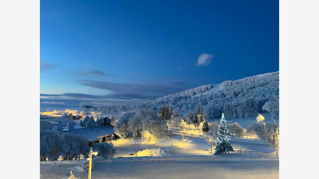 Vente (63) murs commerciaux à Super Besse